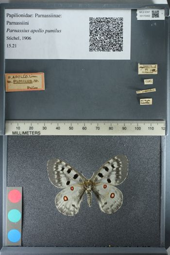 Media type: image;   Entomology 175402
